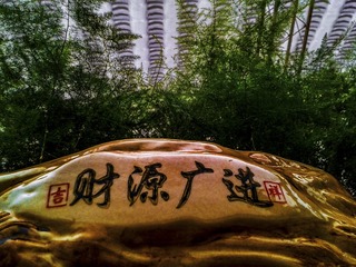 手机摄影20151201-151712
