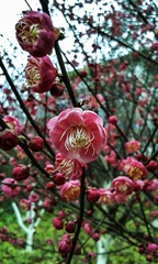 手机摄影20150203-131851
