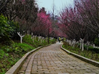 手机摄影20150203-144207