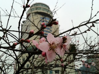 手机摄影20150315-174900