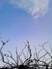 手机摄影20160217-172714