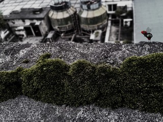手机摄影20160217-173441