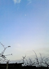 手机摄影20160217-174915