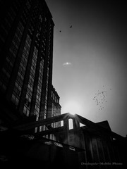 手机摄影20160130-112617
