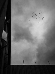 手机摄影20160131-114005