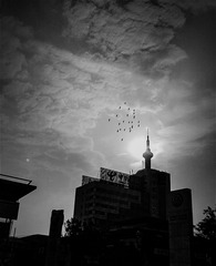 手机摄影20160209-093343