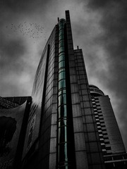 手机摄影20160212-075849
