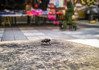 手机摄影20160510-113303