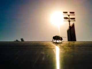 手机摄影20160605-080747