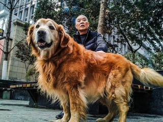 手机摄影20160210-172239