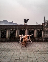 手机摄影20160302-184327