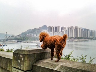 手机摄影20160408-183135