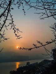 手机摄影20160229-080220