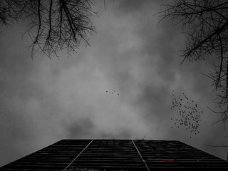手机摄影20160223-170754