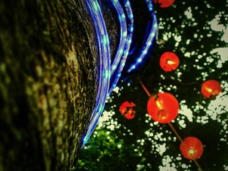 手机摄影20160201-091659