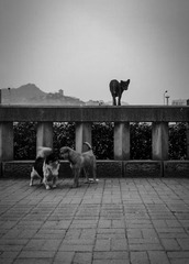 手机摄影20160302-184322