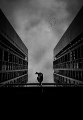 手机摄影20160201-092804