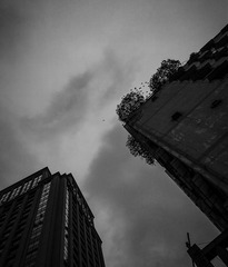 手机摄影20160223-170642