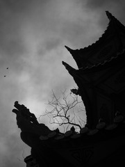 手机摄影20160226-171908