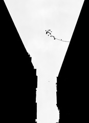 手机摄影20160411-184829