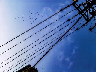手机摄影20160208-113652