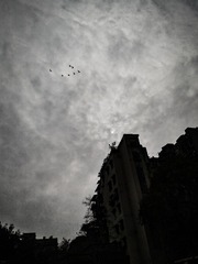 手机摄影20160126-111303