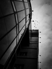 手机摄影20160201-104810