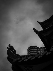 手机摄影20160226-171815