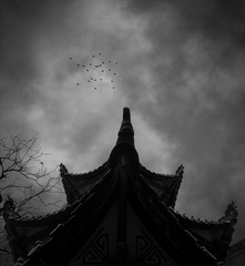 手机摄影20160226-172013