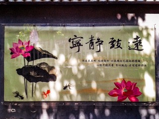 手机摄影20161003-125926