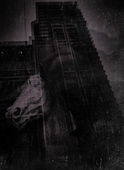 手机摄影20160119-170514