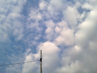 手机摄影20160302-080002