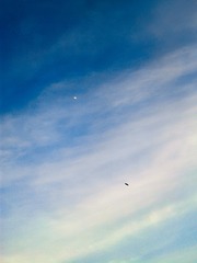 手机摄影20160416-183611