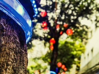 手机摄影20160201-091631
