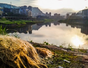 手机摄影20160607-183802