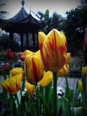 手机摄影20150301-182937