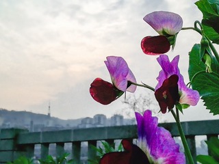 手机摄影20160304-181152