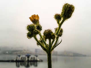 手机摄影20160406-175333