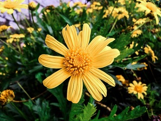 手机摄影20160508-080015