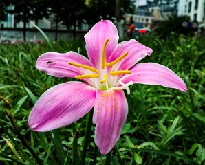 手机摄影20160628-080901