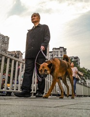 手机摄影20160411-185751