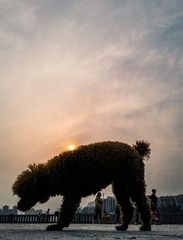 手机摄影20160503-183001