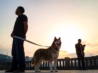 手机摄影20160509-185457