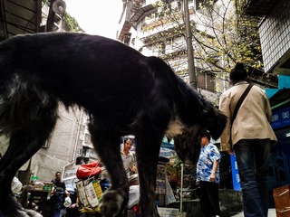 手机摄影20160517-112818