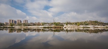 _DSC7343