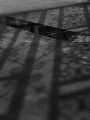 DSCN6502.JPG