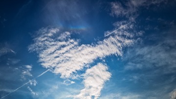 1000046105