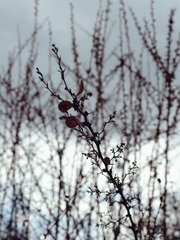 C8E1523B-A5CC-404A-B9C0-B3A0403890E1/L0/001