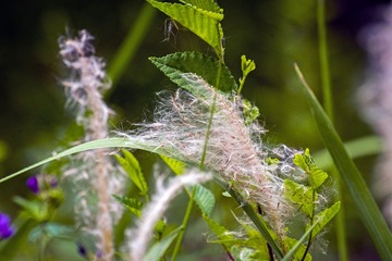 IMGP8940_