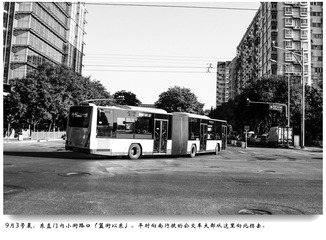 _IMG4436-编辑
